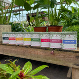 Natural Wax Melt Wild Love - Long-Lasting Fragrance (Up to 100 Hours) - Plastic-Free