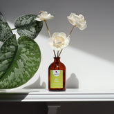 Sola Wood Flower Diffuser – Tea Time | Long-Lasting Natural Home Fragrance