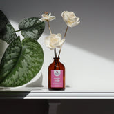 Sola Wood Flower Diffuser – Magic Hugs | Long-Lasting Natural Home Fragrance