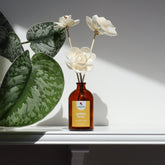 Sola Wood Flower Diffuser – Golden Hour | Long-Lasting Natural Home Fragrance