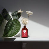 Sola Wood Flower Diffuser – Apple Pie | Long-Lasting Natural Home Fragrance