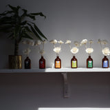 Sola Wood Flower Diffuser Refill Vegan UK | Sweet Wild Scents