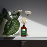 Sola Wood Flower Diffuser – Under the Tree | Long-Lasting Natural Home Fragrance
