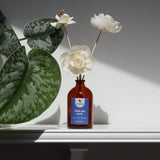 Sola Wood Flower Diffuser – Kiss Me Now | Long-Lasting Natural Home Fragrance