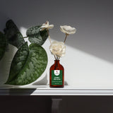 Sola Wood Flower Diffuser – Under the Tree | Long-Lasting Natural Home Fragrance